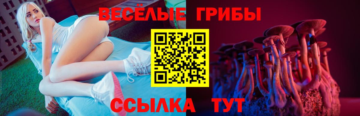 Галлюциногенные грибы мицелий Баксан